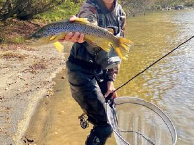 AWRL01APR23 Ollie Basset copy