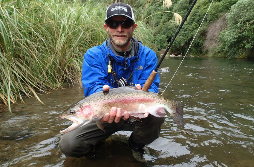 Auckland/Waikato Reel Life August 2018