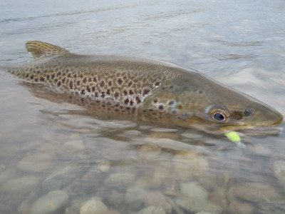 May 2018 Photo 1 SOU