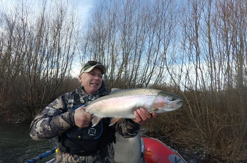 Otago Reel Life August 2018