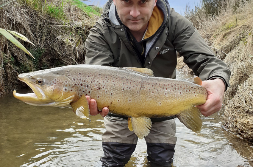 Southland Reel Life August 2019
