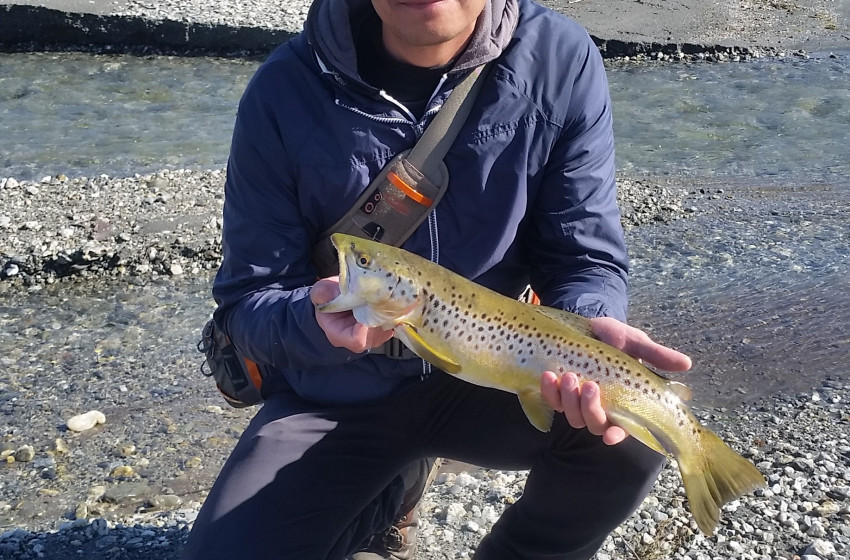 Otago Reel Life August 2019