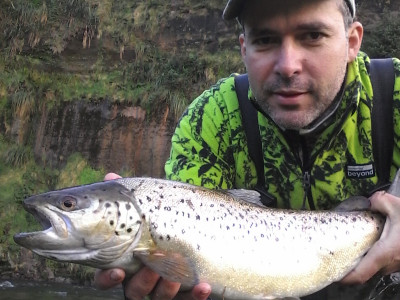 TRL1Aug19. Carlos Cardoso do Vale with a nice ringplain winter season ringplain brown.