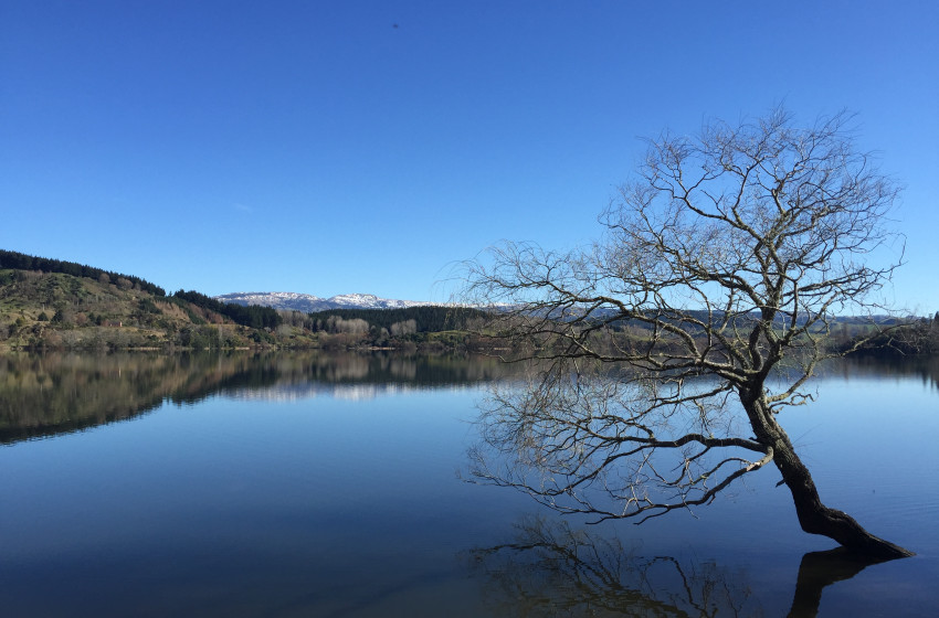 Hawke's Bay Reel Life August 2019