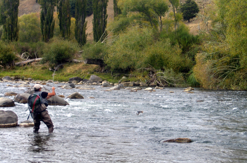 Reel Life September 2022