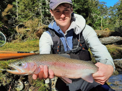 Blake spawning rainbow