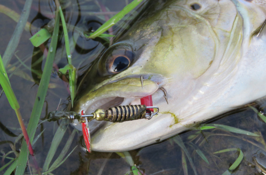 Southland Reel Life December 2018