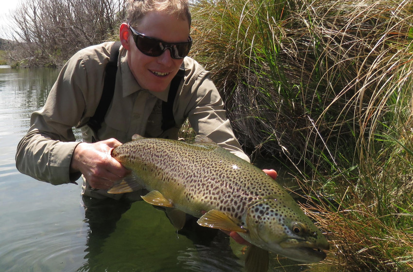 Central South Island Reel Life December 2018