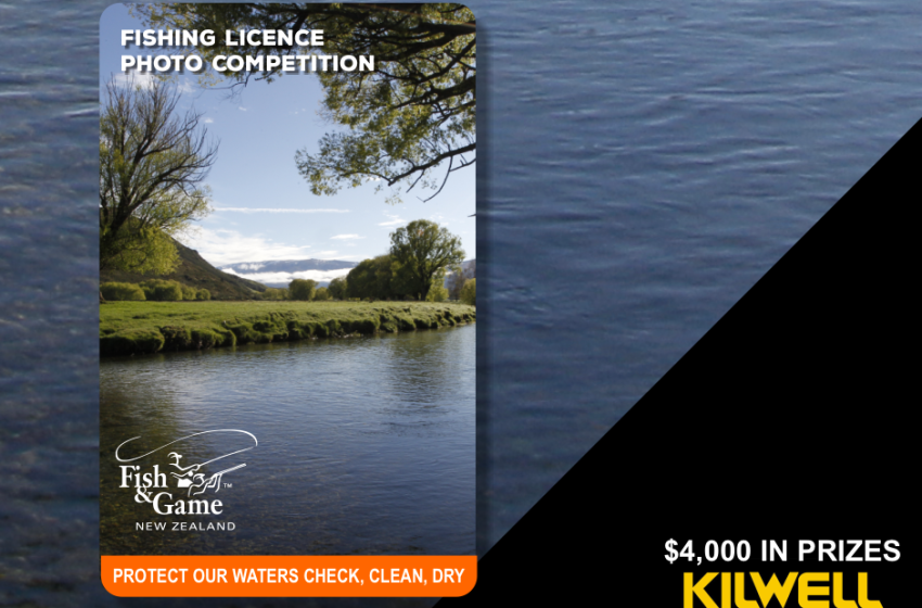 Taranaki Reel Life December 2019