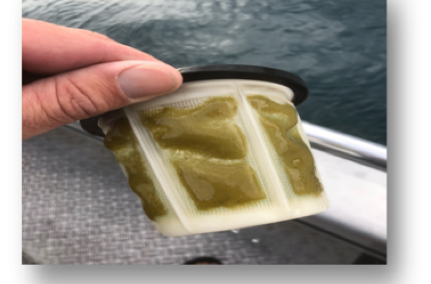 Nelson/Marlborough Reel Life December 2019