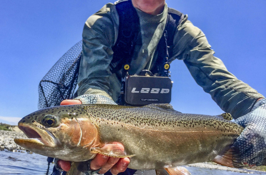 Hawke's Bay Reel Life December 2019