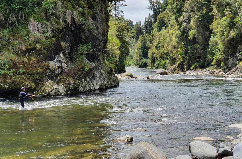 Reel Life December 2020