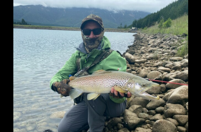 Reel Life December 2020