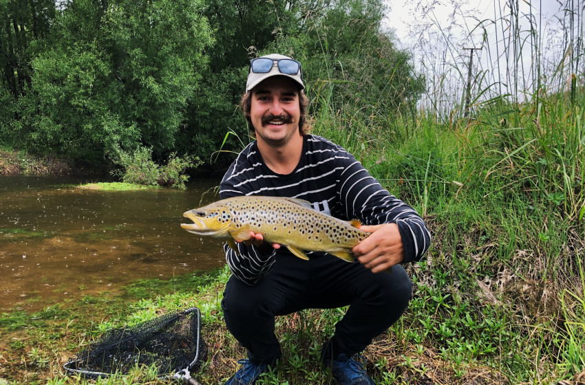 Reel Life December 2020