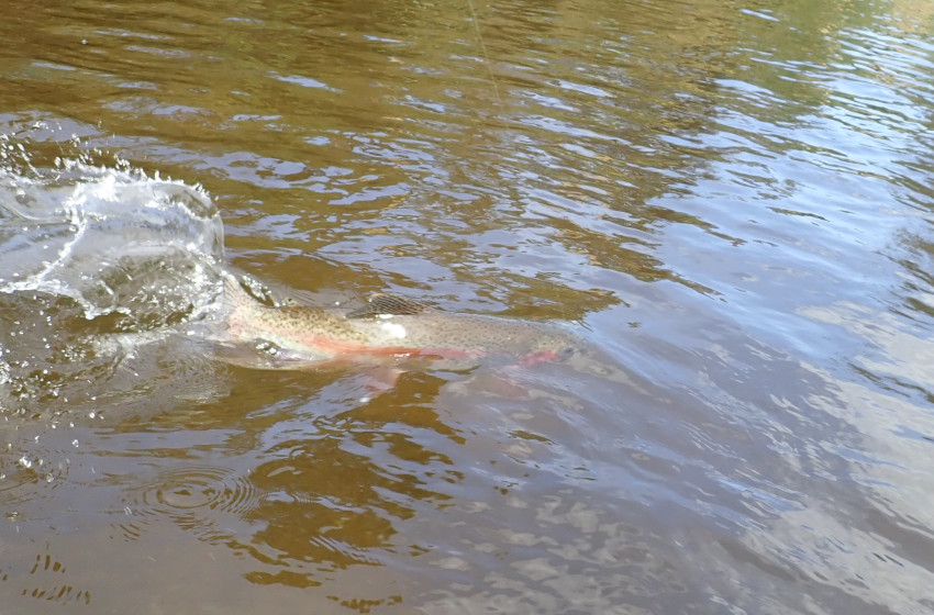 Reel Life December 2021