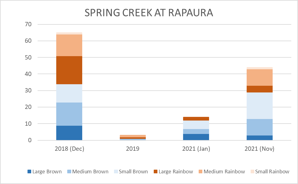 Spring Creek