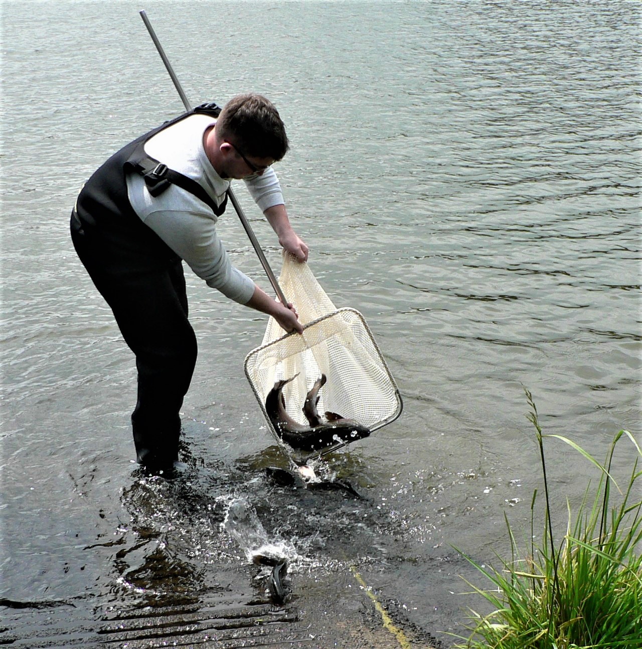TRL2Dec21. New Taranaki Field Officer Jacob Morison releases trout into Lak