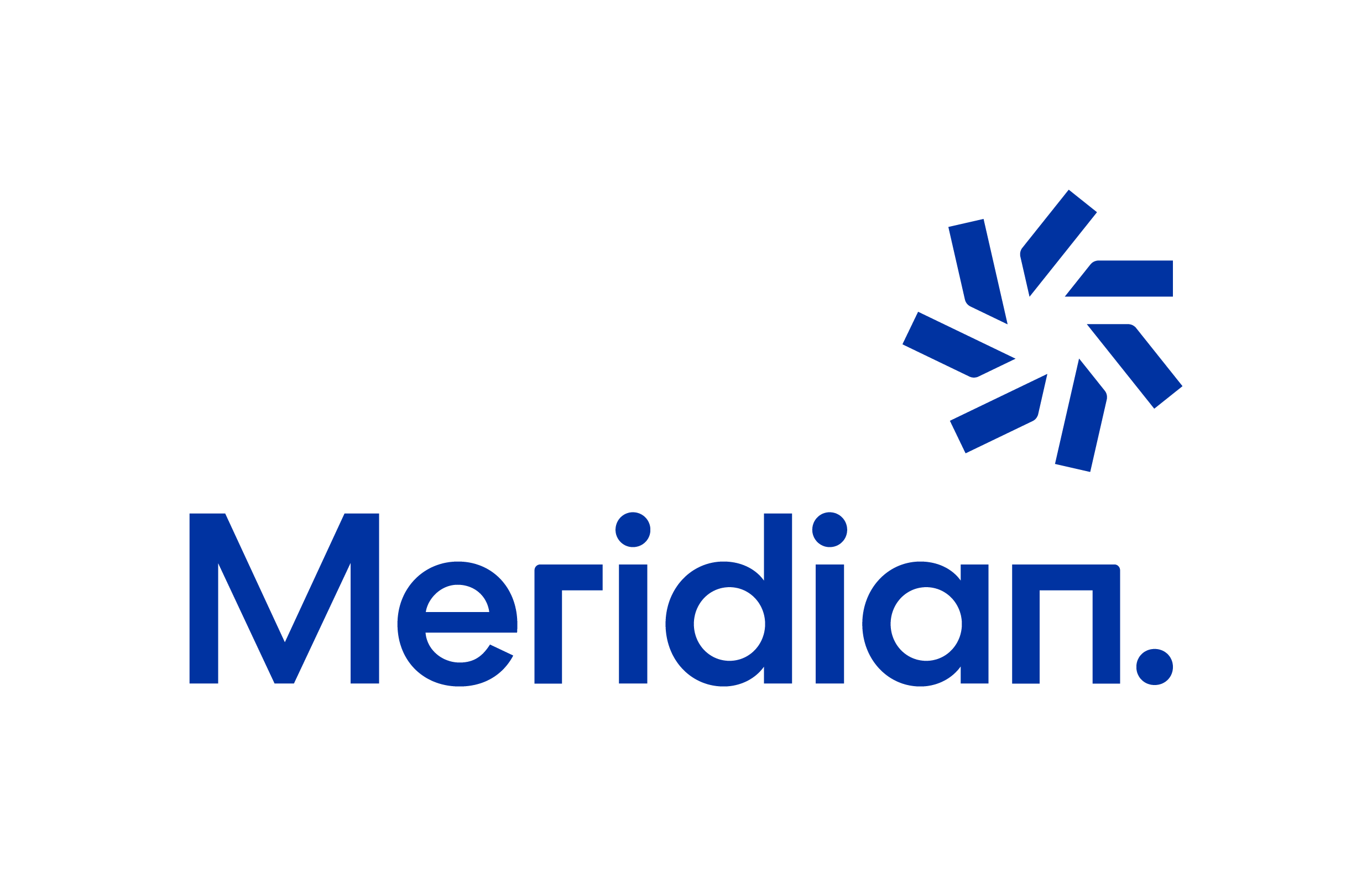 MERIDIAN PRIMARY HORIZ RGB BLUE
