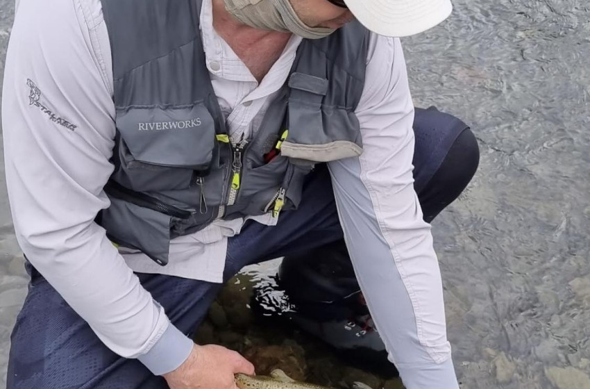 Reel Life December 2022