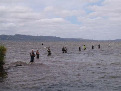 E 1 v2The Waitetis Picket fence durning the heat of summer