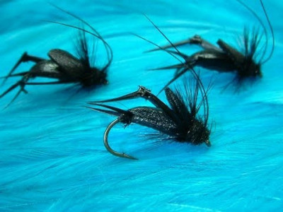 N 3 Black field cricket imitation