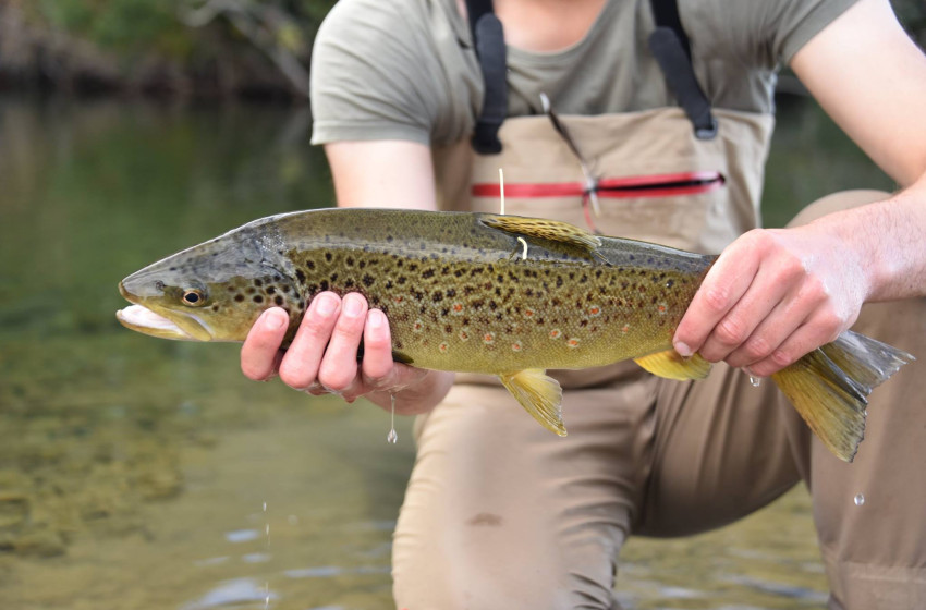 Southland Reel Life February 2018