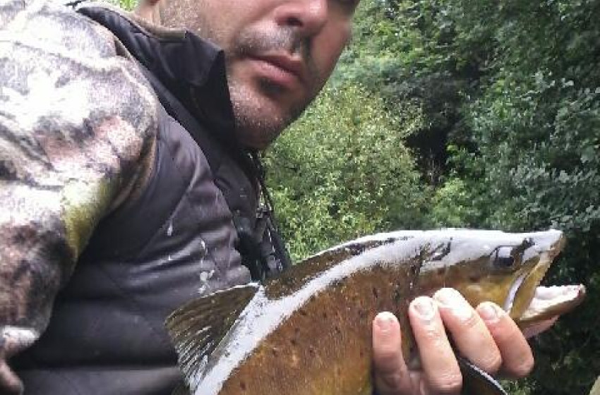Taranaki Reel Life February 2018