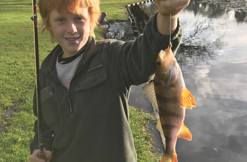 Auckland/Waikato Reel Life February 2019