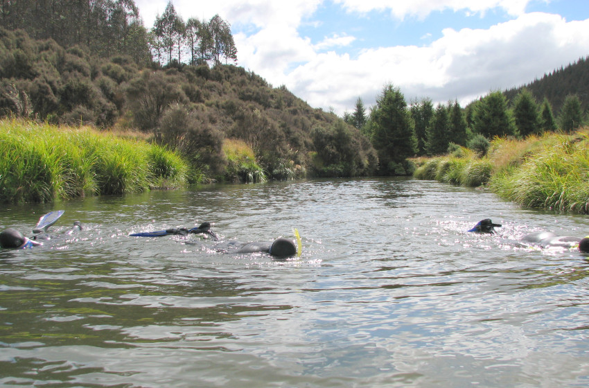 Hawke's Bay Reel Life February 2019