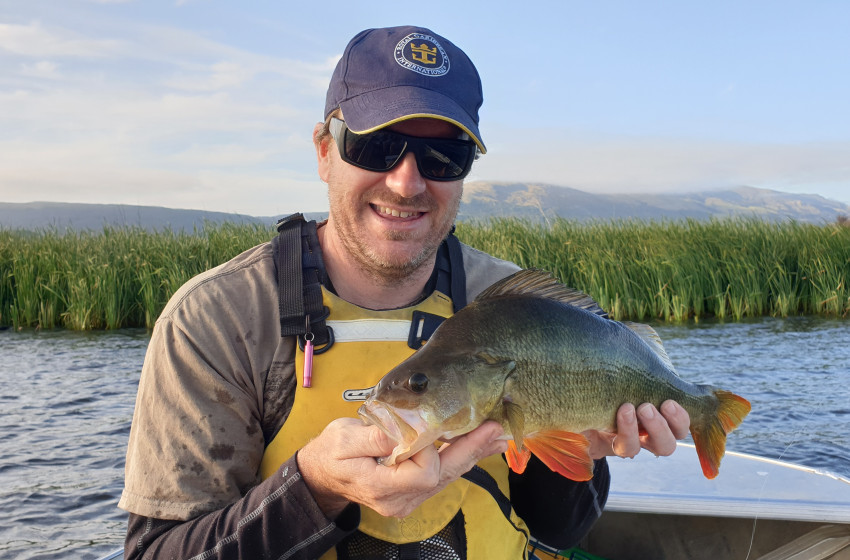 Reel Life February 2020