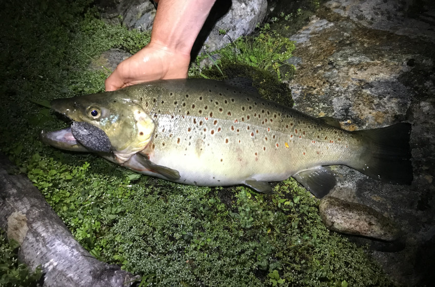 Reel Life February 2020