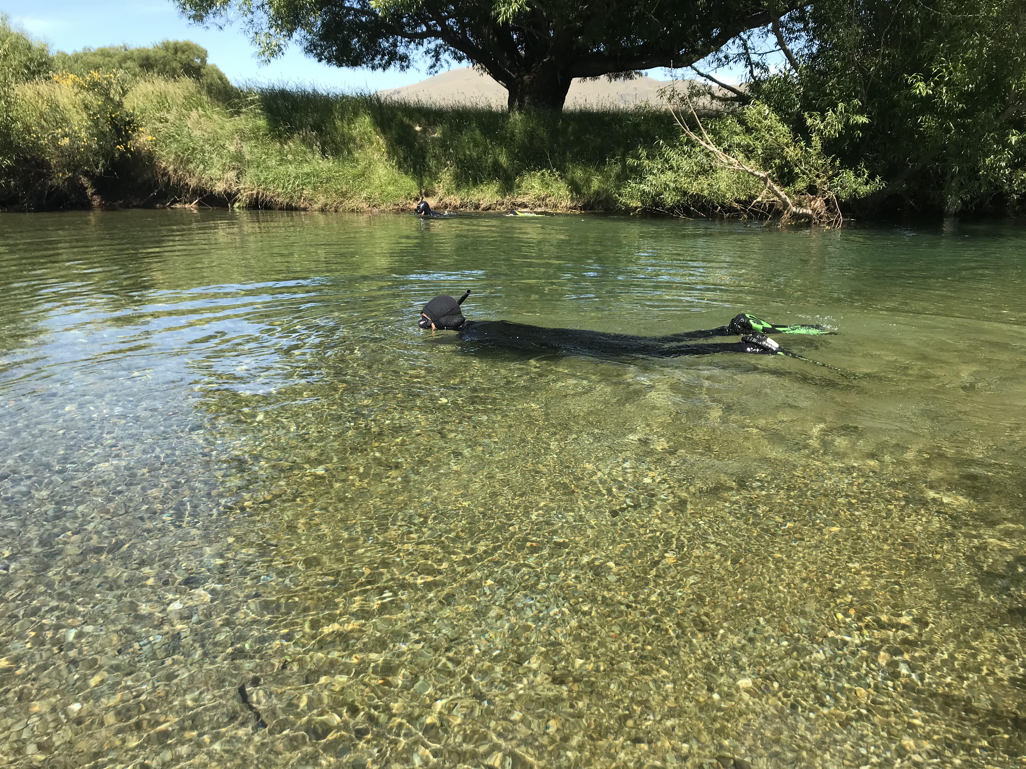 Mataura drift diving 