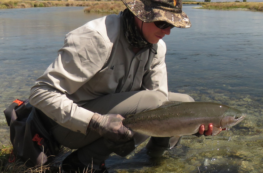 Reel Life February 2020