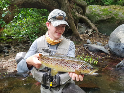 TRLFeb2021. Tarn Mack Mcewen admires a nicely coloured late February ringplain brown photo Curly McEwen.