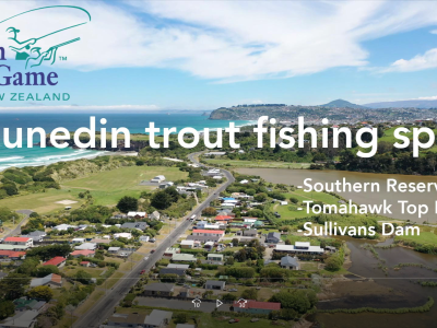 220120 Dunedin fishing spots screengrab