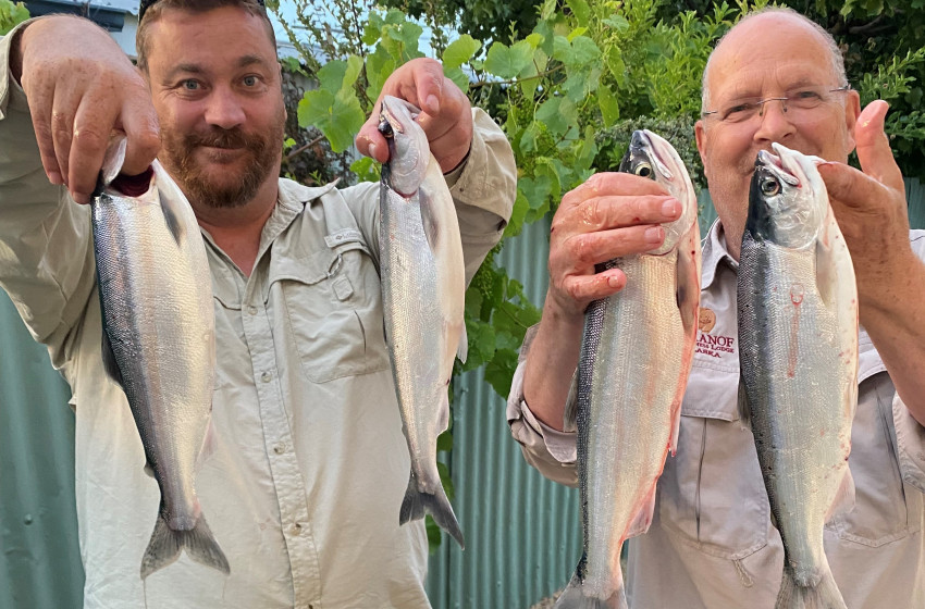 Reel Life February 2022