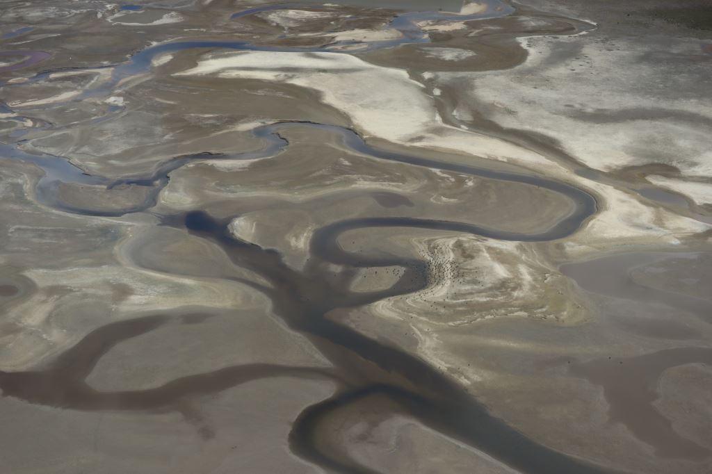 IMG 7456 Lake Onslow 25 January 2023