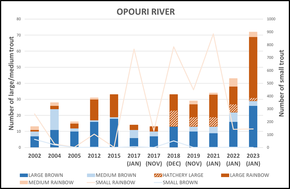 Opouri