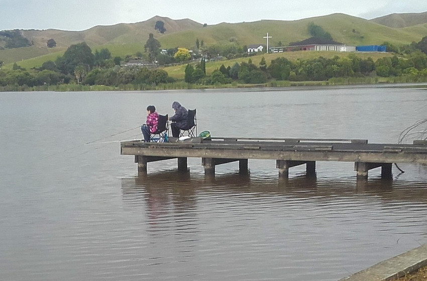Auckland/Waikato Reel Life January 2018