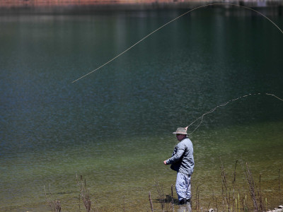 FGNZ NC LakeHawdon+MarymereFishSurvey104a