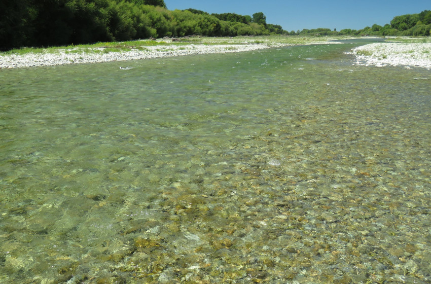 Central South Island Reel Life January 2018