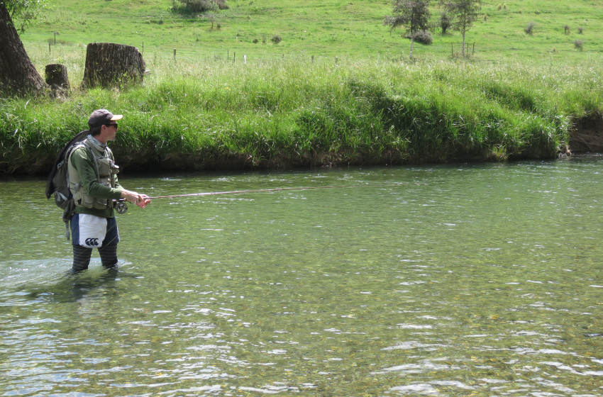 Southland Reel Life January 2019