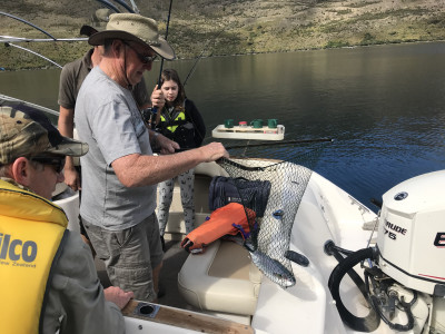 Compliance on the lakes