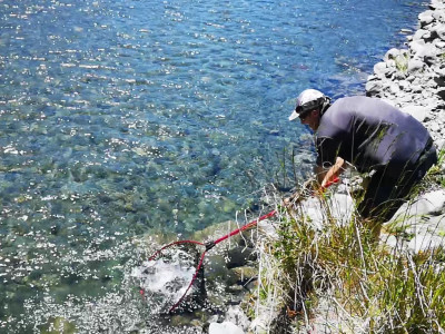 Leatham release Dec 2020