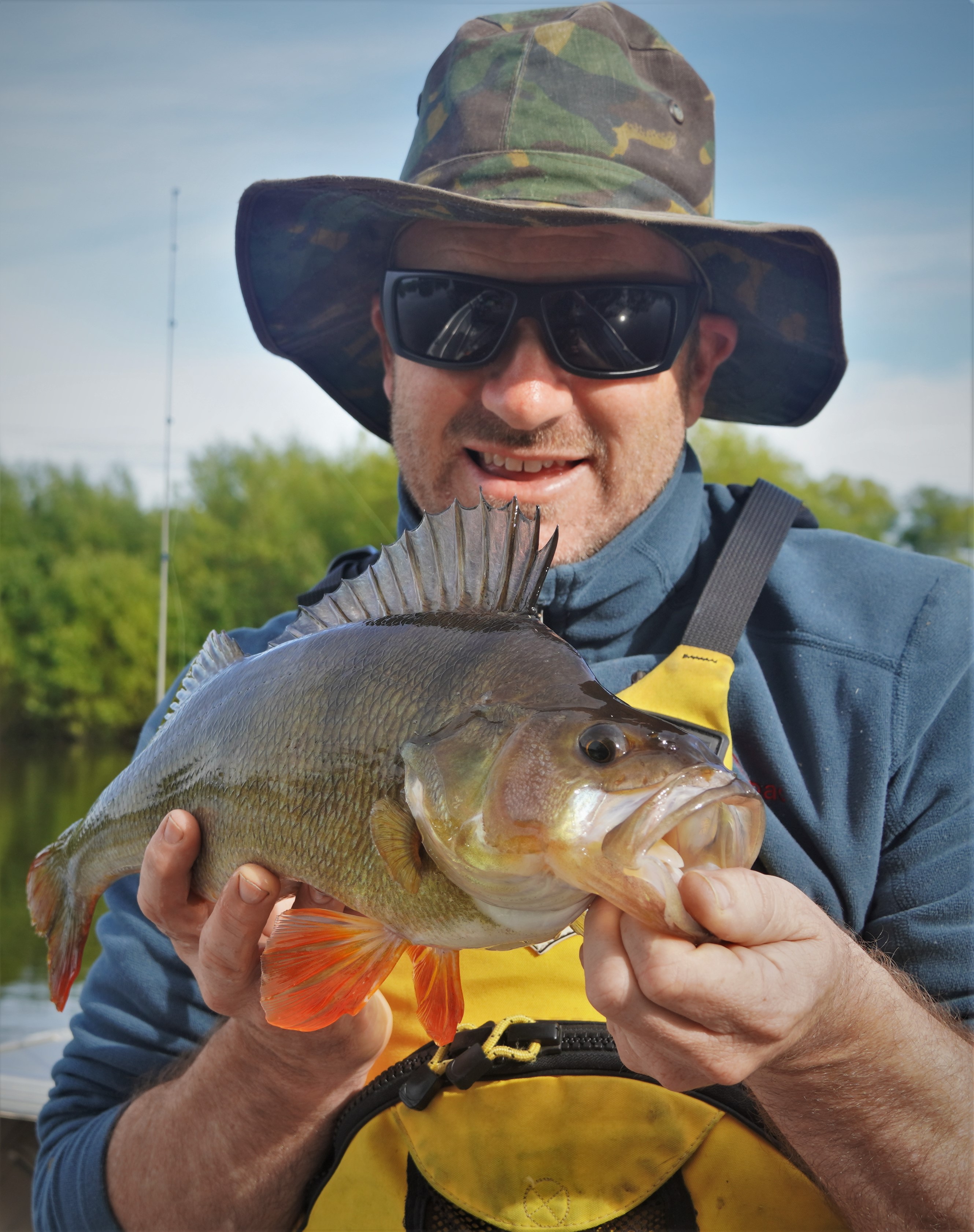 Summer is Perch Season