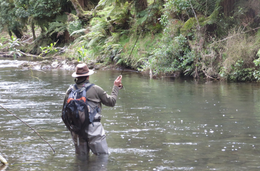 Reel Life January 2022