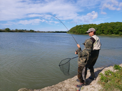 There has been superb angling in the easily accessible lowland fisheries Credit Hamish Carnachan