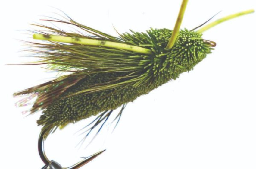 Reel Life January 2023