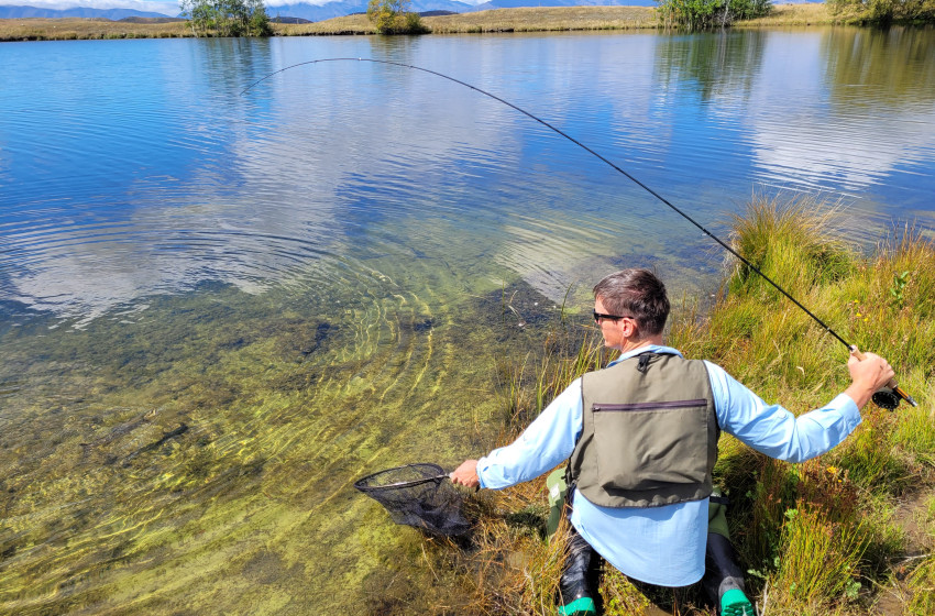 Reel Life January 2023