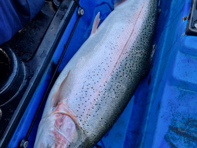 Solid Tarawera rainbow